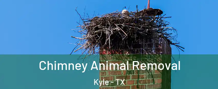 Chimney Animal Removal Kyle - TX