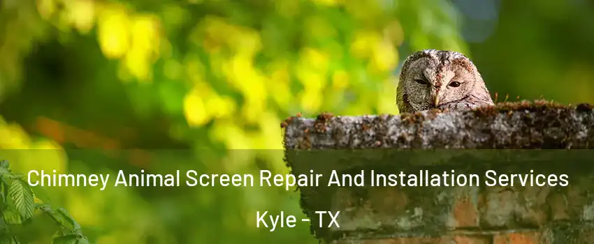  Chimney Animal Screen Repair And Installation Services Kyle - TX