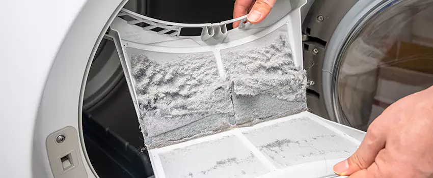 Best Dryer Lint Removal Company in Kyle, Texas