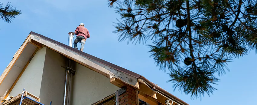 Birds Removal Contractors from Chimney in Kyle, TX