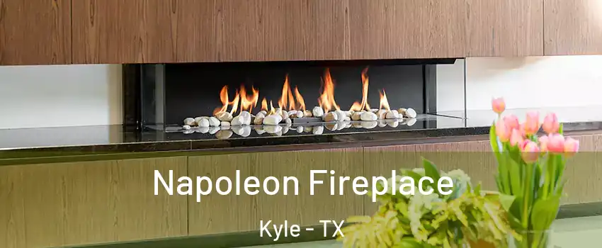  Napoleon Fireplace Kyle - TX